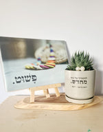 מארז להתחיל מחדש + פשוט