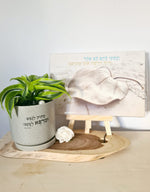 מארז מתוק לנפש + ונתתי להם