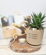 מארז חיים של שלום