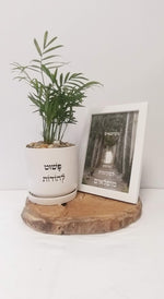 מארז פשוט להודות + כשיוצאים מגיעים