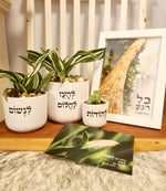 מארז להודות + לנשום + להעז לחלום+ כל רגע