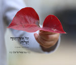 וכל אשר יעשה יצליח