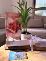 מתנה ליולדת