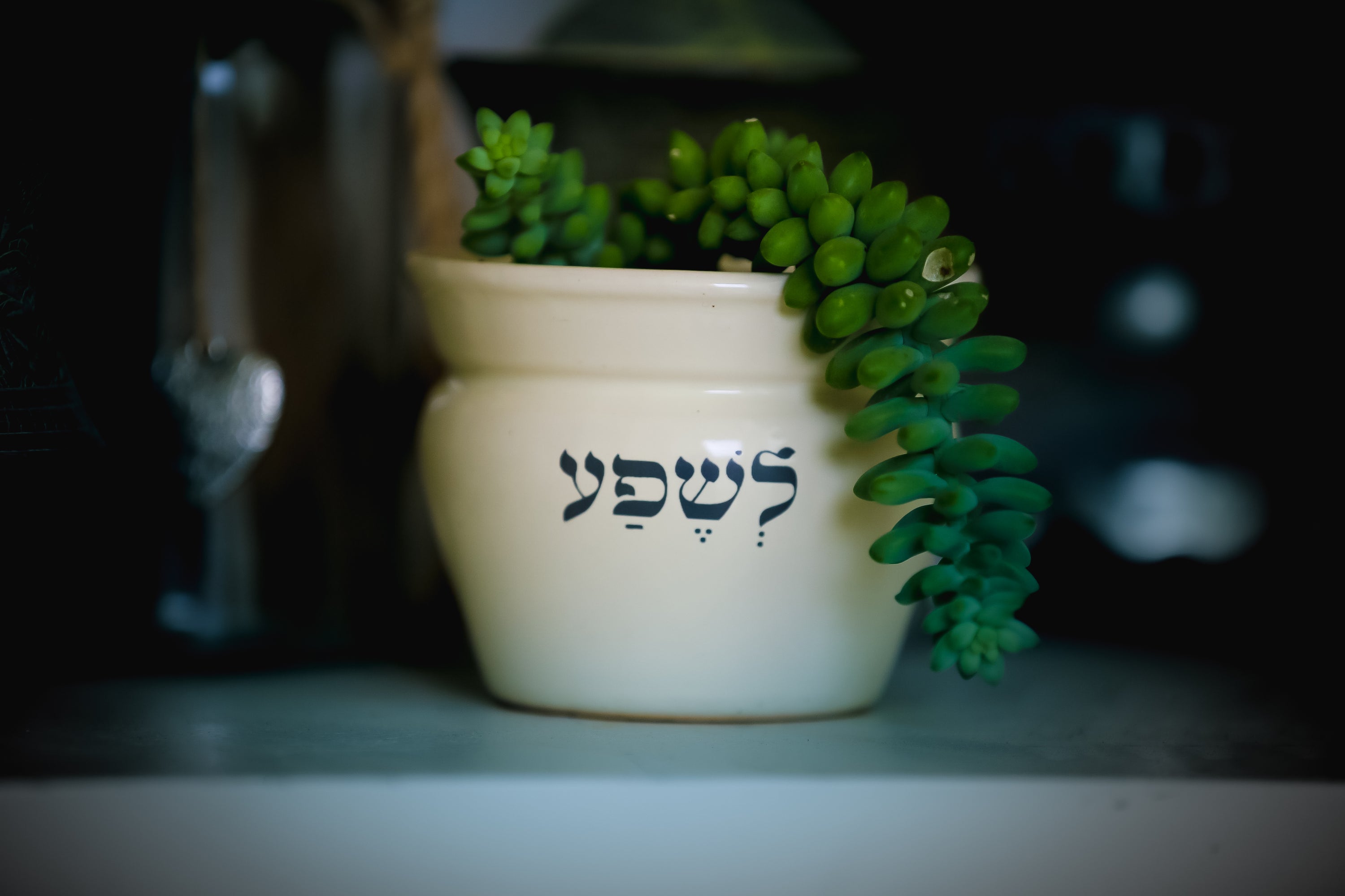 "לא לחיות בצל של החיים כנושאים תובנות של שפע"