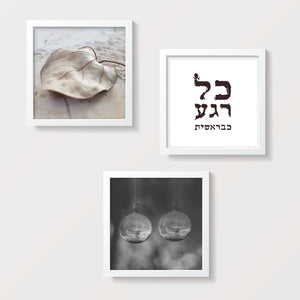 זוגות ושלישיות - סט תמונות