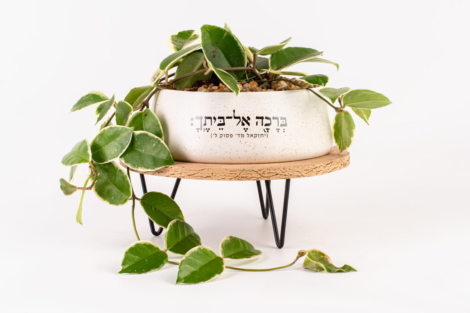ברכה אל ביתך אדנית עגולה
