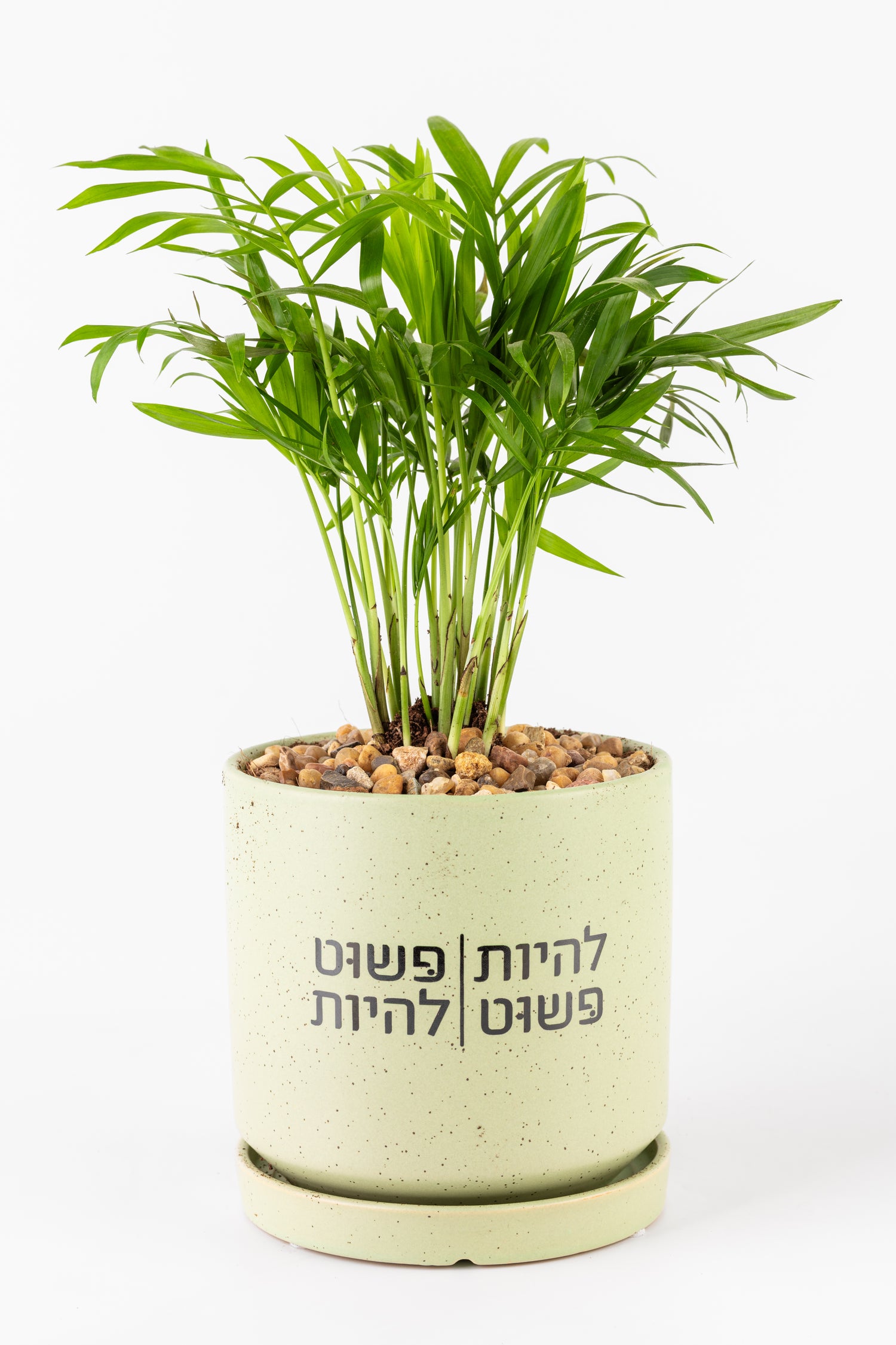 Lלהיות פשוט, פשוט להיות