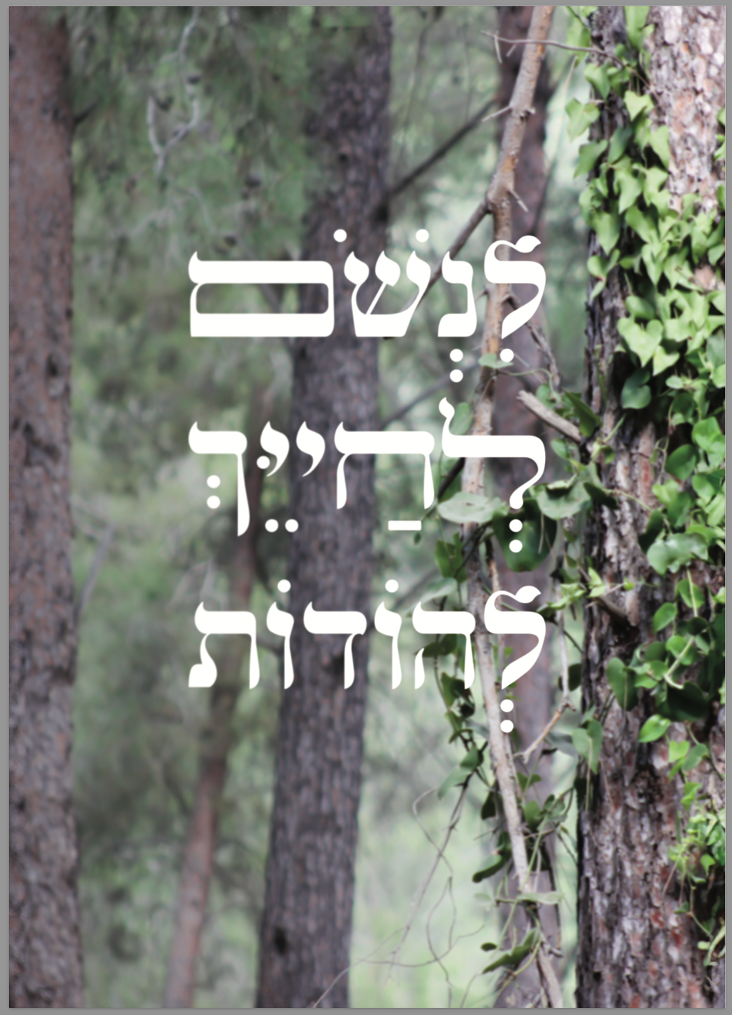 לנשום לחייך להודות קנבס 50/70