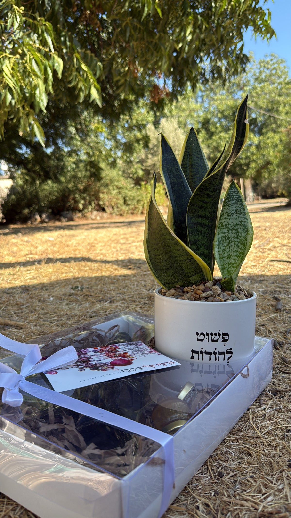 מארז לראש השנה (L)
