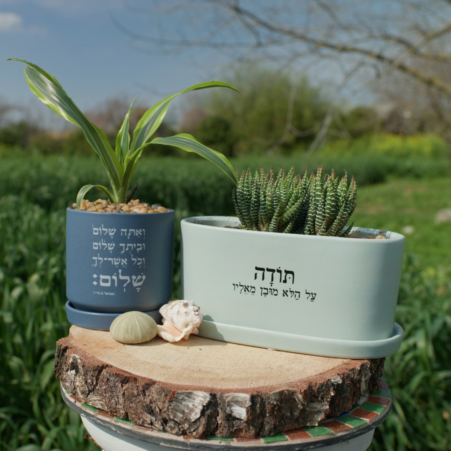 מארז: אדנית אובלית  "תודה על הלא מובן מאליו" + עציץ ואתה שלום וביתך שלום