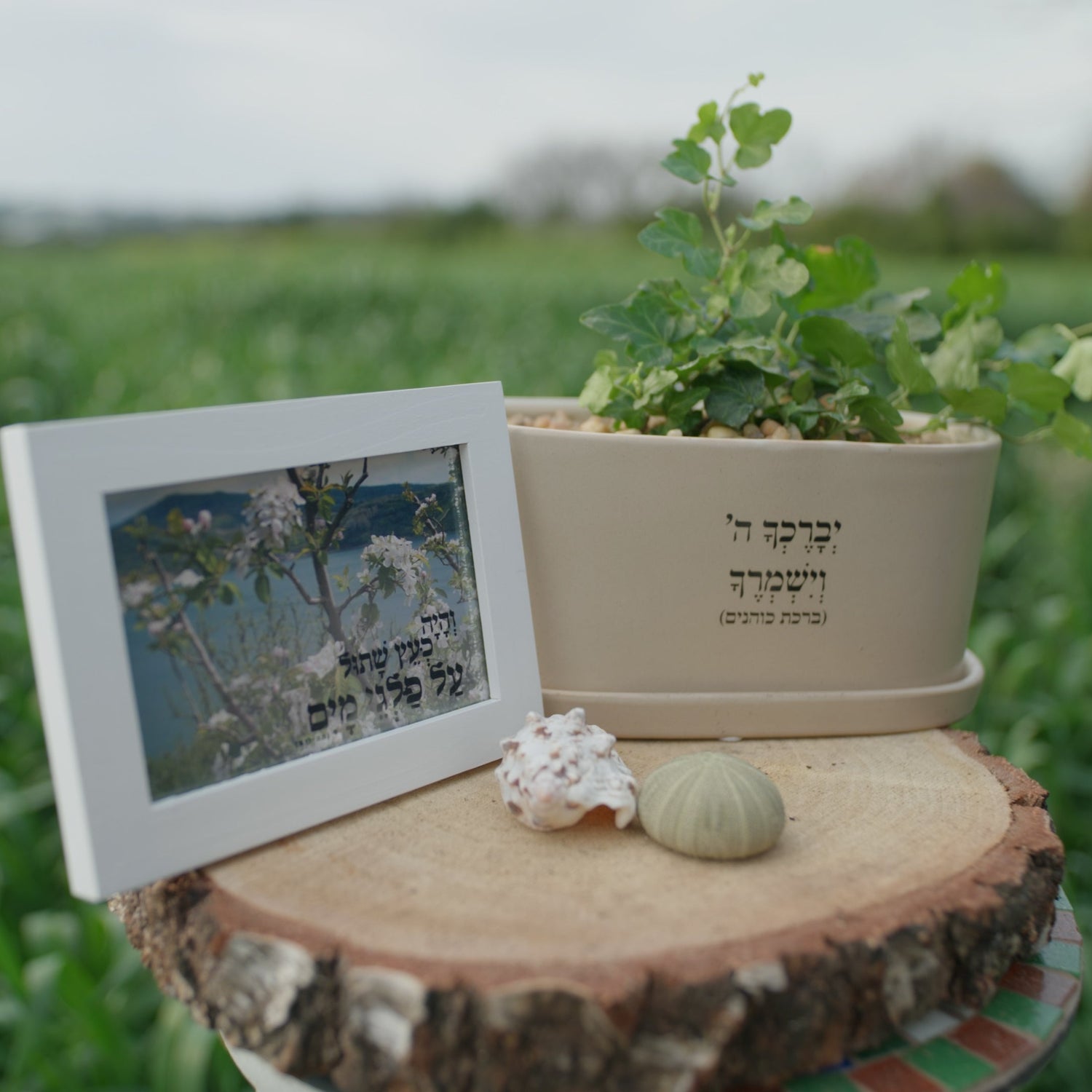 מארז: אדנית אובלית  יברכך השם וישמרך  + תמונה  והיה כעץ שתול על פלגי מים