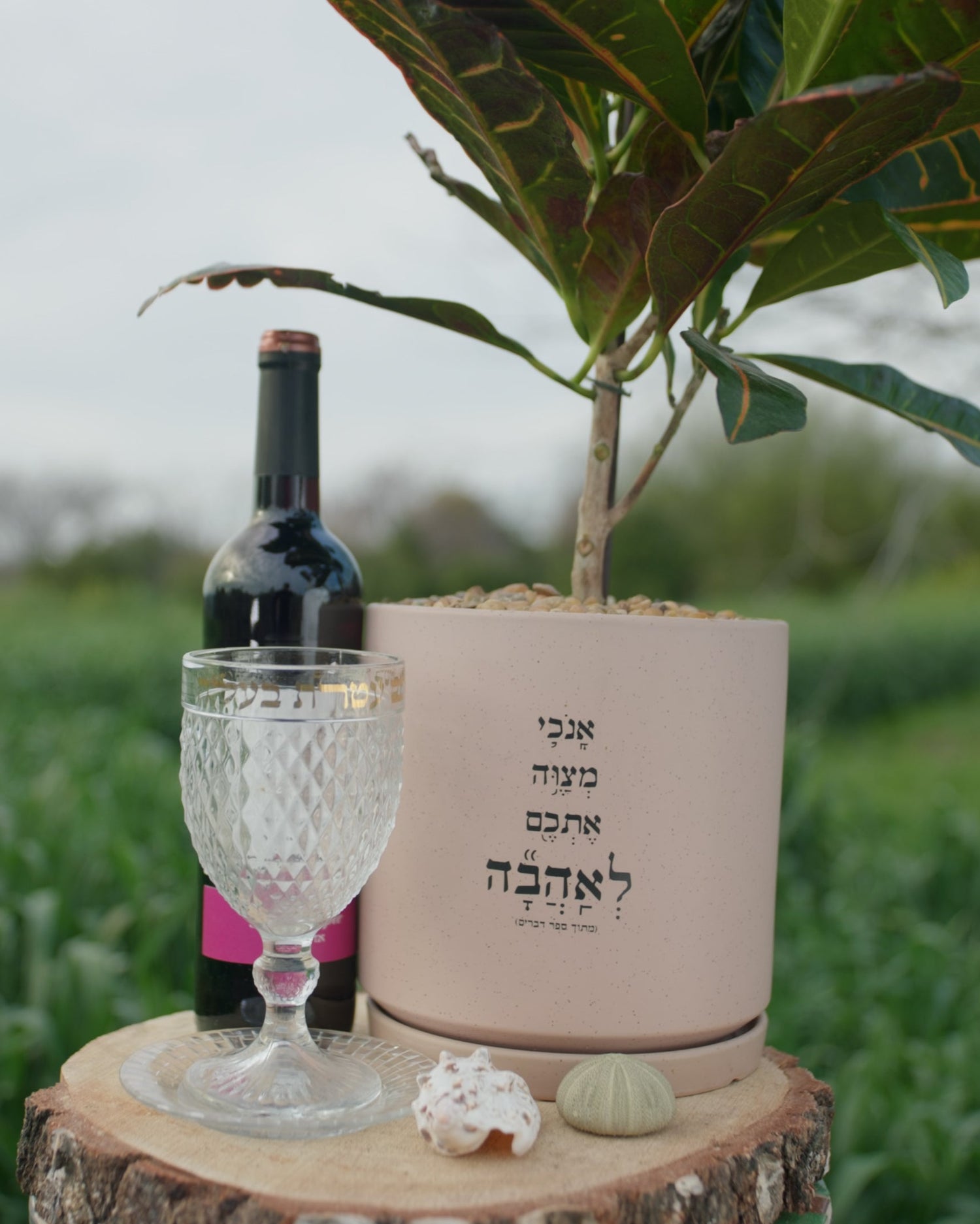 מארז: עציץ גדול "ואני מצווה אתכם לאהבה" + כוס מהודרת "עטרת בעלה" ובקבוק יין
