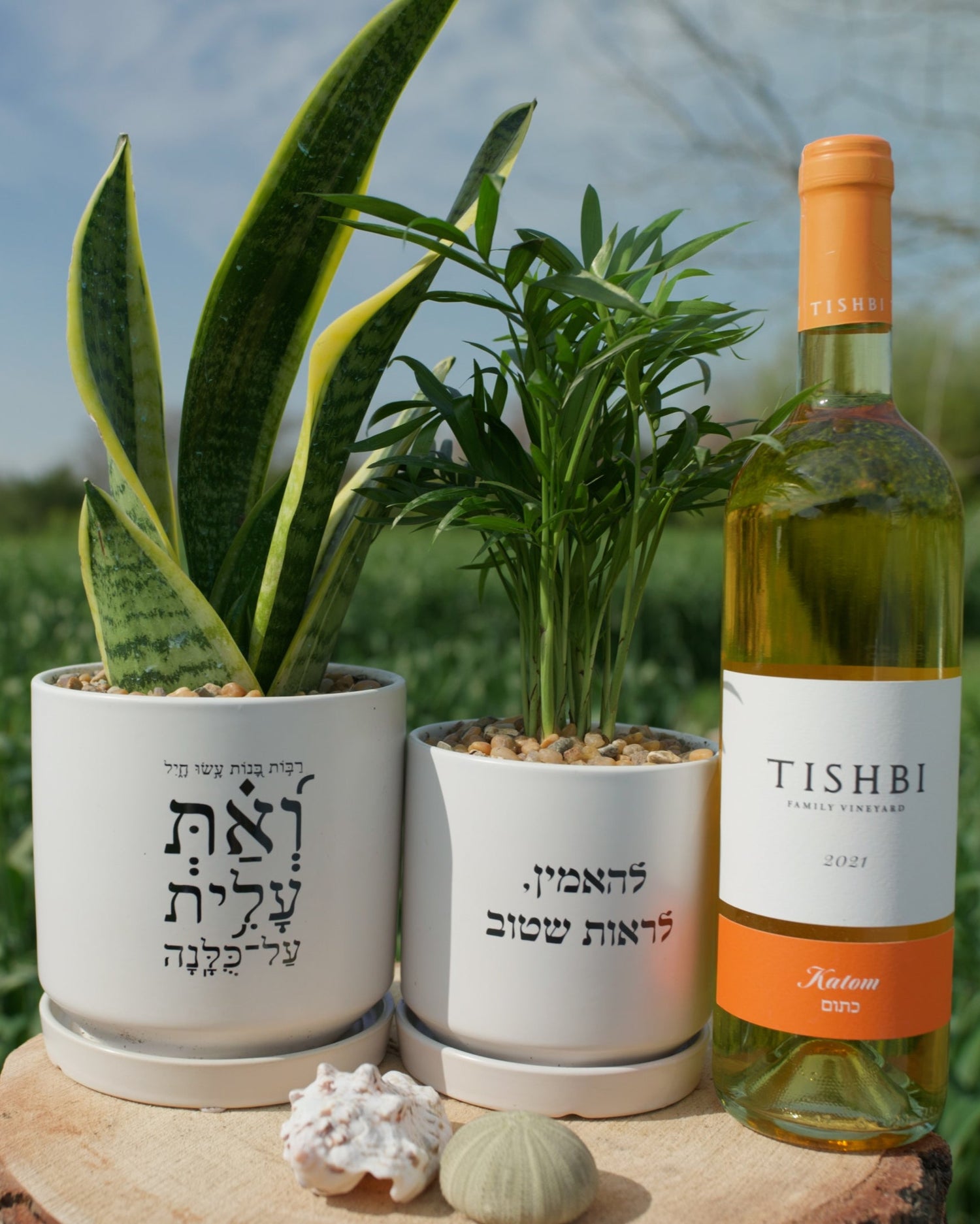 מארז: עציץ גדול "ואת עלית על כולנה" + עציץ בינוני להאמין לראות שטוב+ בקבוק יין