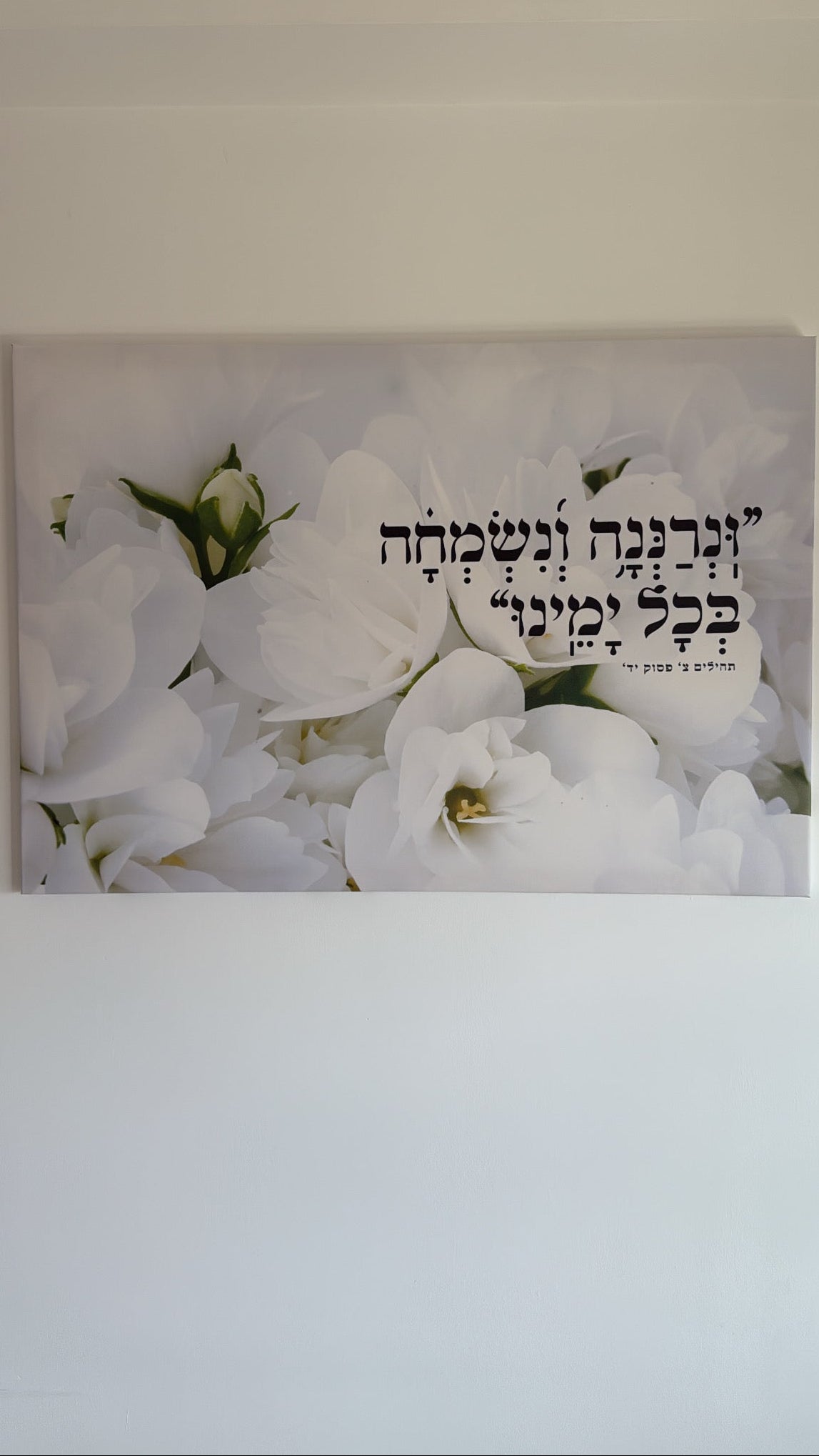 קנבס שלושה גדלים ונרננה ושמחה כל ימינו