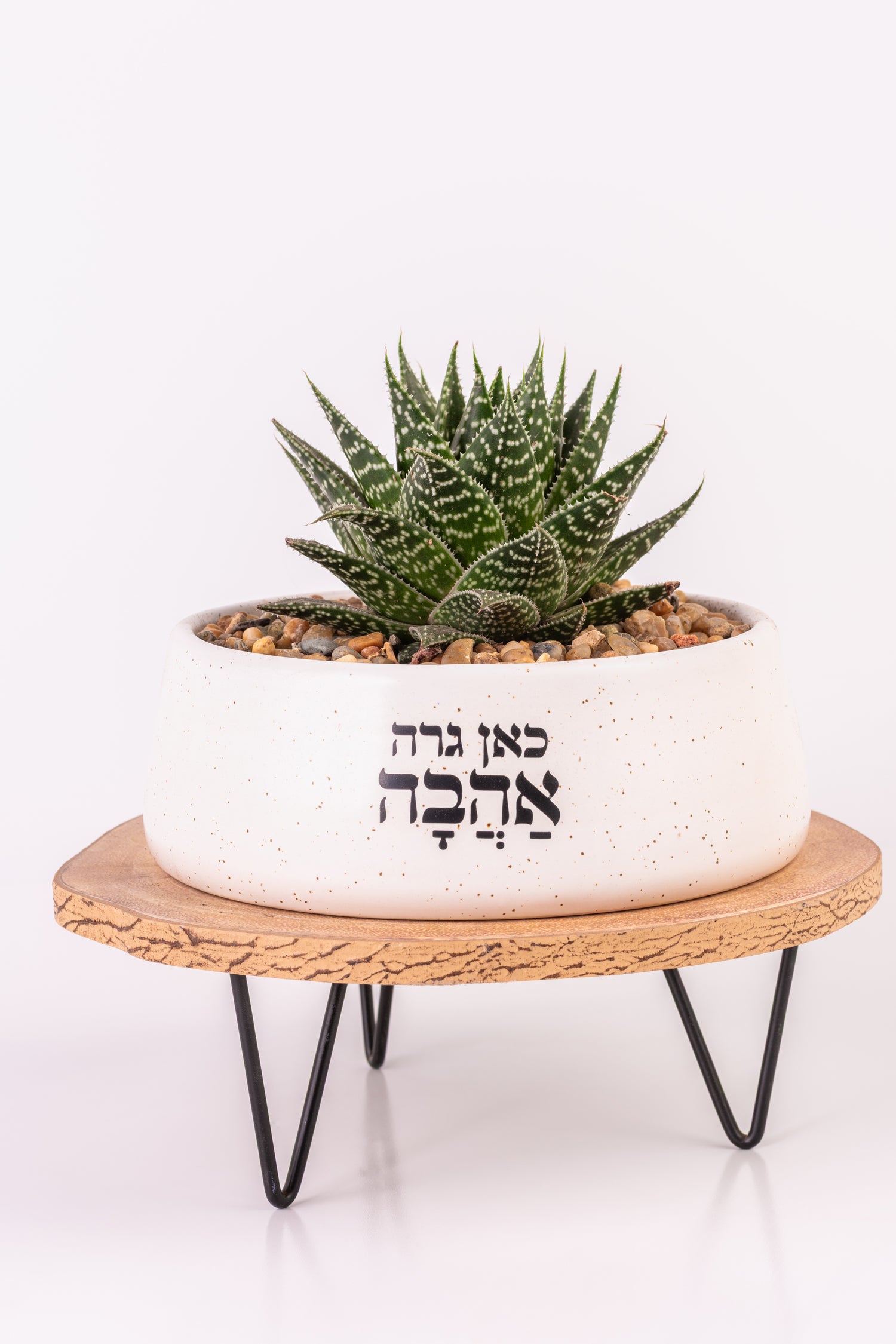 כאן גרה אהבה אדנית עגולה לבנה