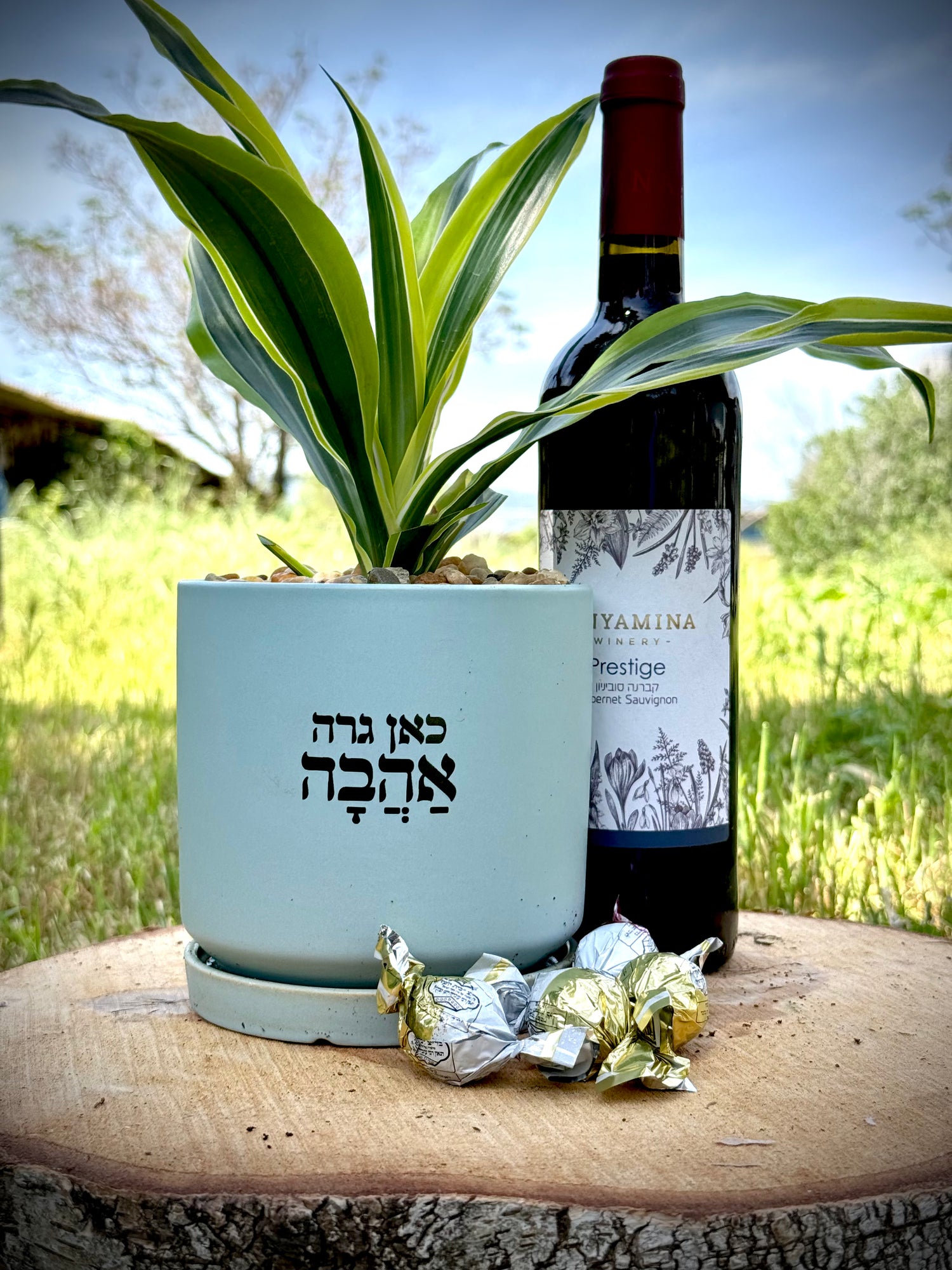 מארז של אהבה