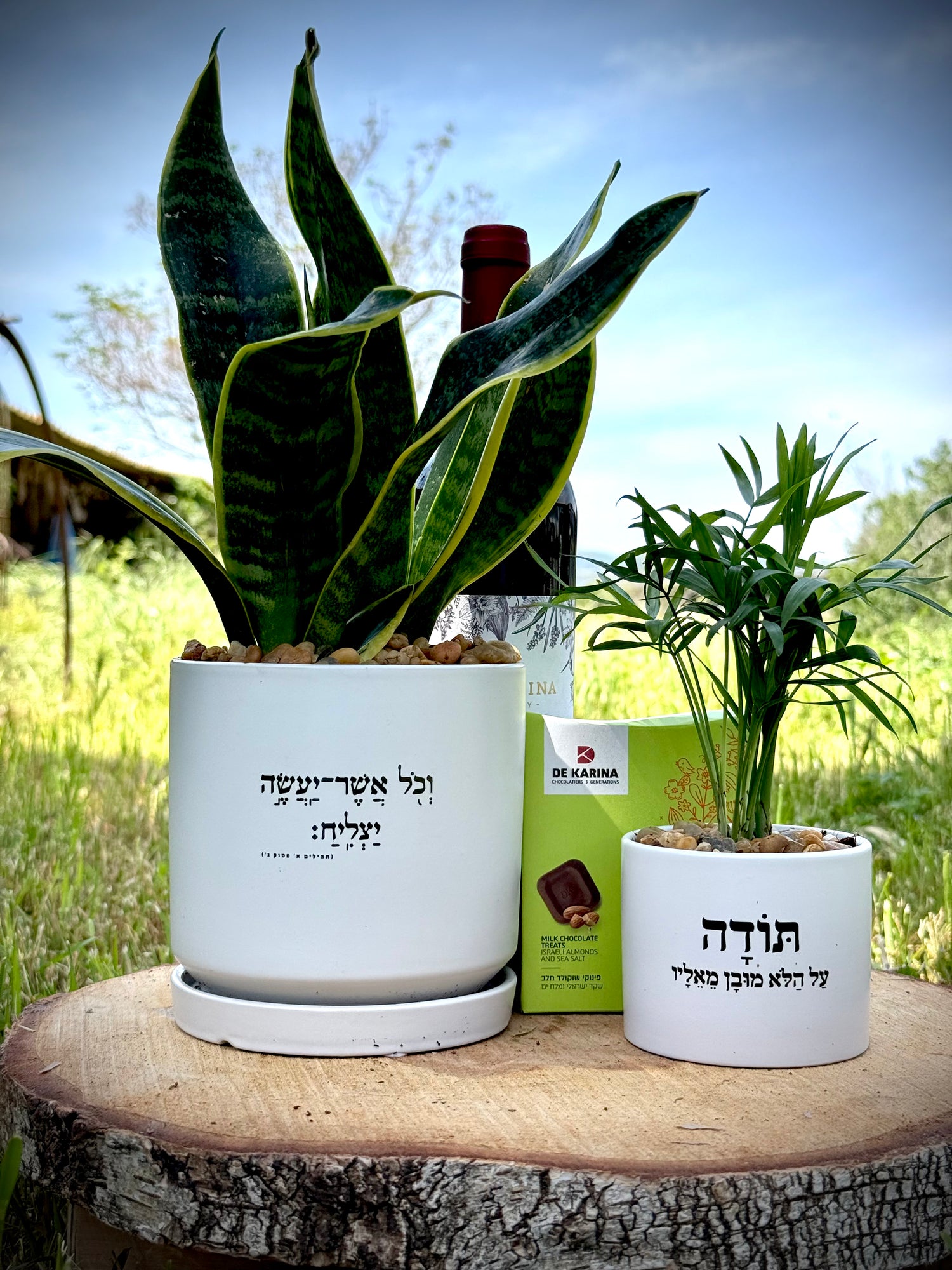 מארז לאיחול הצלחה ואמירת תודה