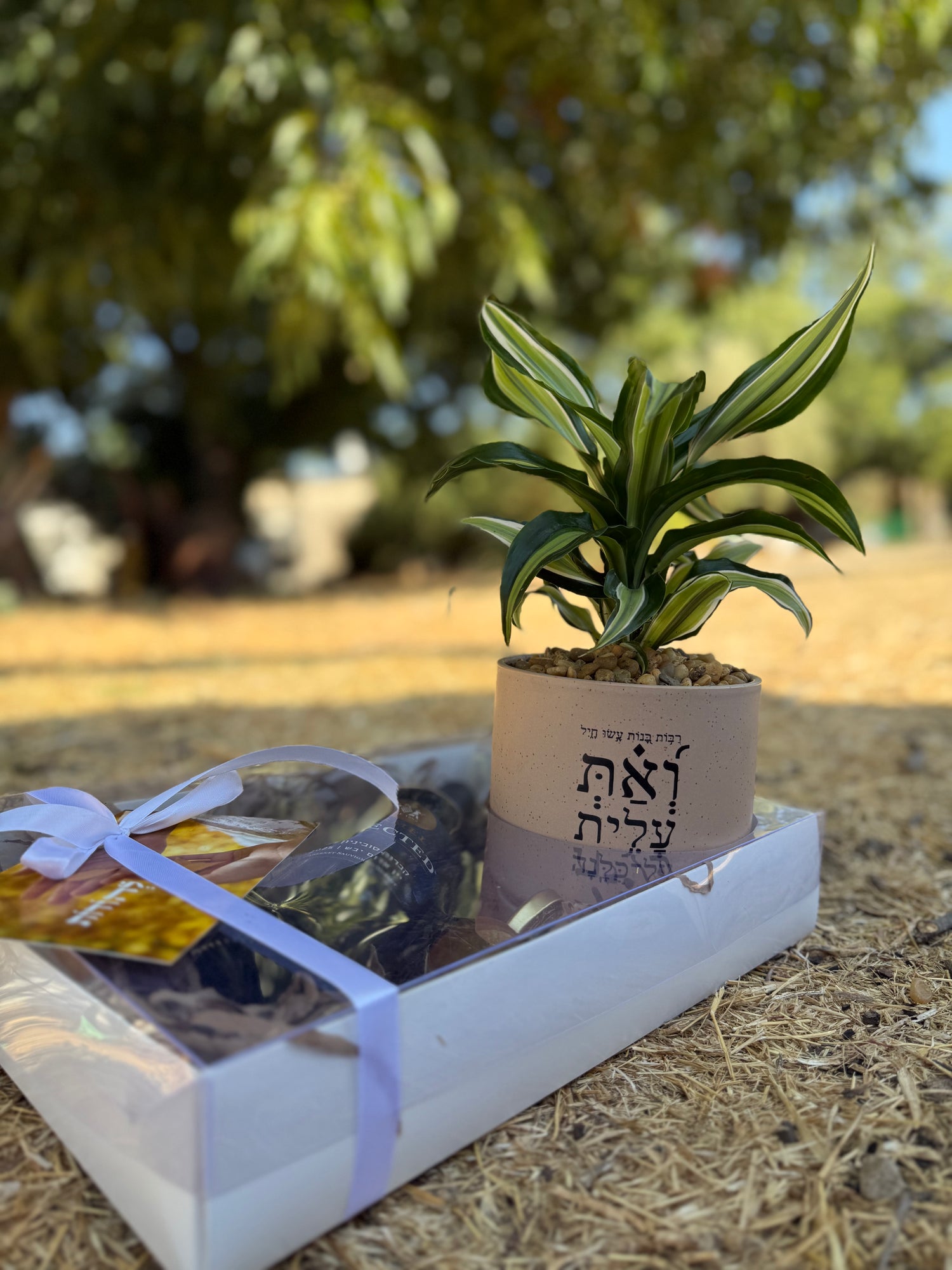 מארז לראש השנה (L)