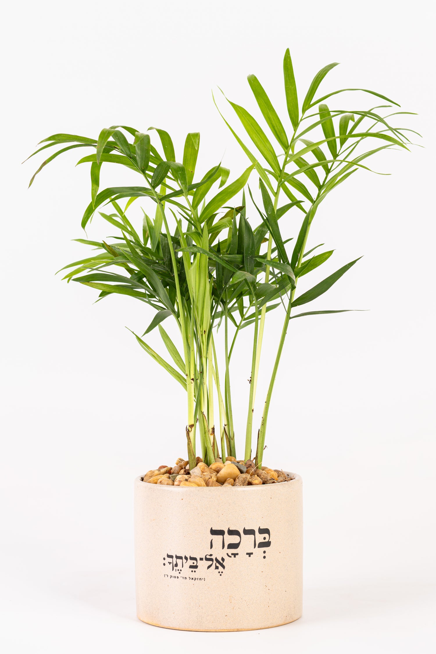 Sברכה אל ביתך