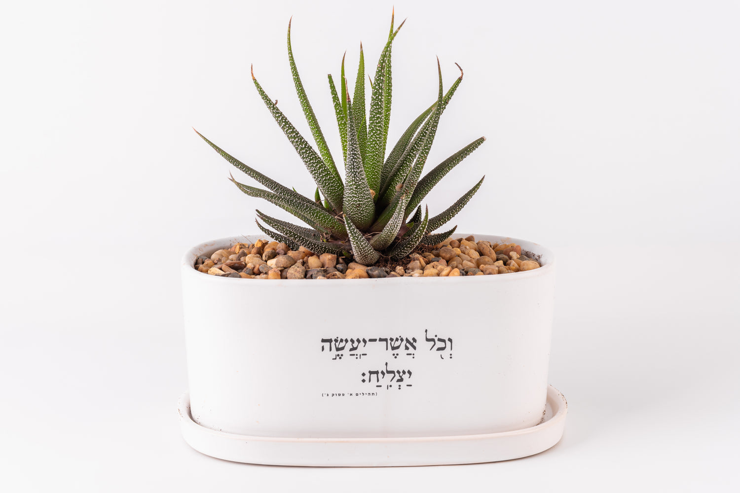 וכל אשר יעשה יצליח