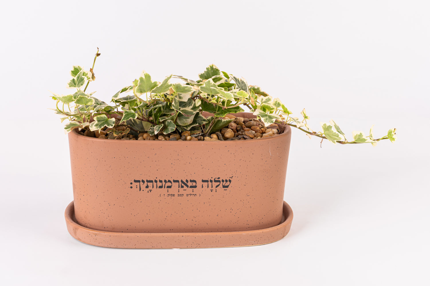 שלווה בארמונותייך - אדניות
