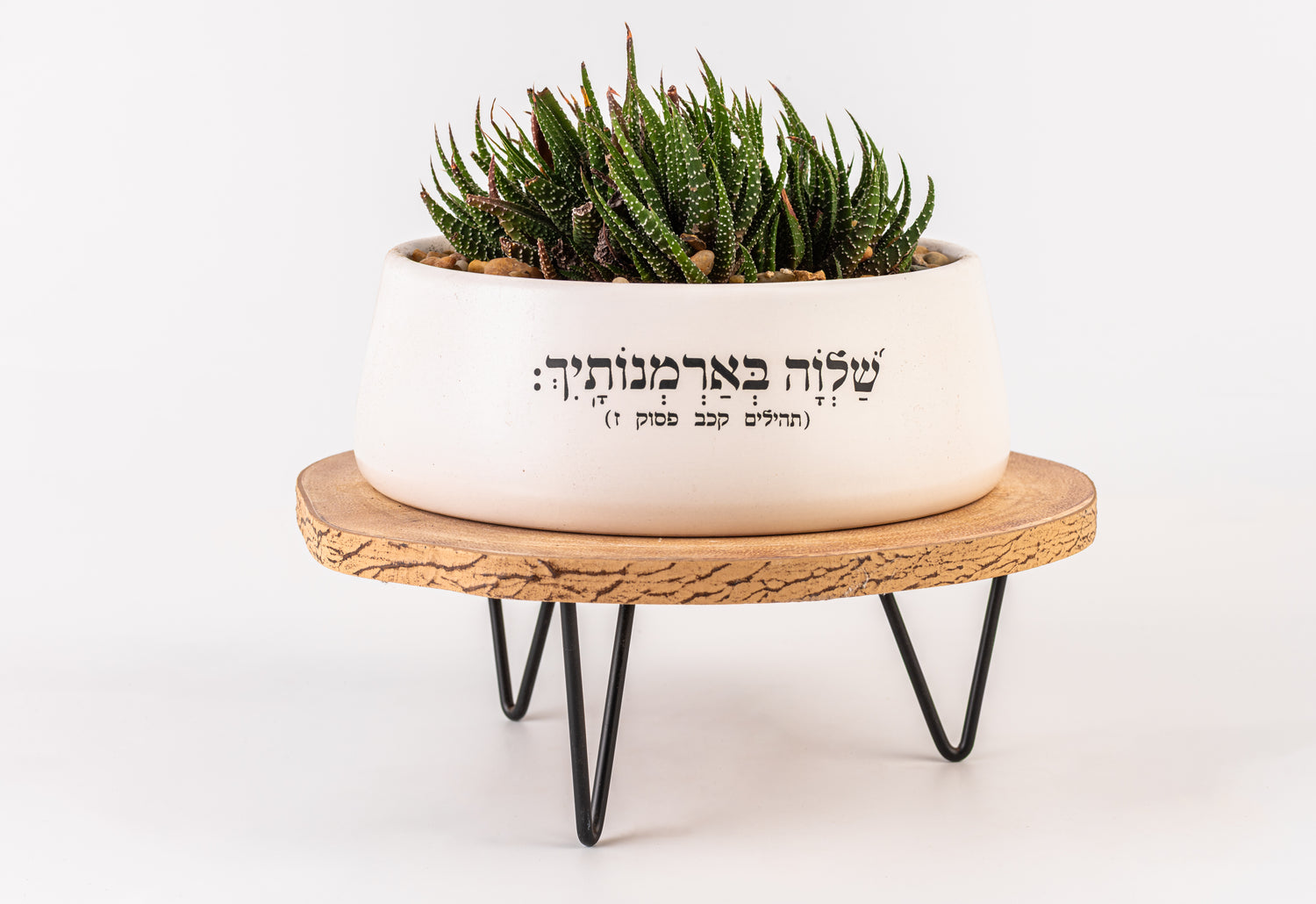שלווה בארמונותייך - אדניות