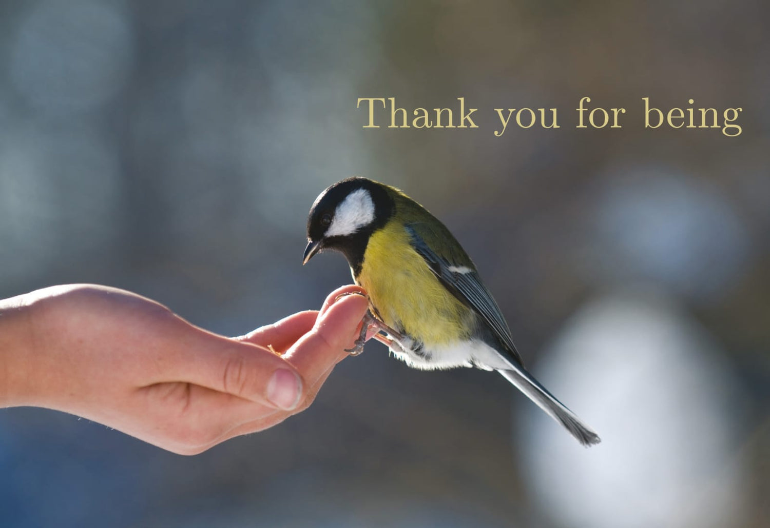 Thank you for being