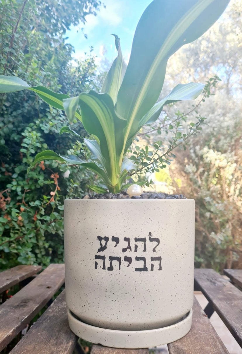 להגיע הביתה